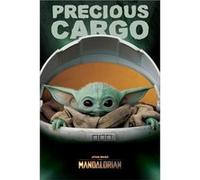 Star Wars Maxi Poster 61 x 91,5 cm The Mandalorian Precious Cargo G