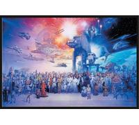 Star Wars - Poster - Legacy Character + cadre interchangeable, Shinsuke® Maxi plastique noir, vitre acrylique