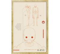 Star Wars - Poster - Rogue One - K-2SO Plans + cadre amovible, Shinsuke® Maxi MDF hêtre, vitre acrylique