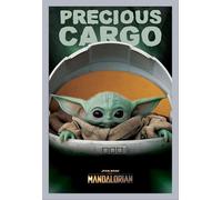 Star Wars - Poster - The Mandalorian - Precious Cargo + cadre amovible, Shinsuke® Maxi MDF argenté, vitre acrylique