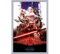 Star Wars - Poster - The Rise of Skywalker - Epic + cadre amovible, Shinsuke® Maxi MDF argenté, vitre acrylique