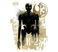 Star Wars Rogue One (K-2S0 Grunge) 60 x 80 cm Toile Imprimée