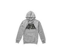 Star Wars - Sweat à capuche motifs Luke et Leia - Homme (TV4370)