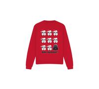 Star Wars - Sweat BAH HUMBUG - Adulte (TV3567)