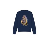 Star Wars: The Acolyte - Sweat HIGH REPUBLIC - Adulte (TV3635)