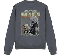 Star Wars : The Mandalorian - "Legend Continues" Sweatshirt pour homme/femme unie TV4063 (L) (Charbon de bois)