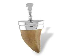 Starborn Fossil Mosasaurus Pendentif Dent en Argent Sterling