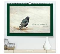 Stare und Weisheiten (hochwertiger Premium Wandkalender 2026 DIN A2 quer), Kunstdruck in Hochglanz: Stare, Weisheiten und Sprichwörter