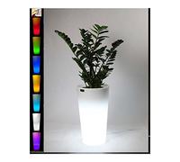 STARFIVE Vase lumineux multicolore à piles, sans câbles, en résine avec cache-pot, lumière multicolore RVB + W