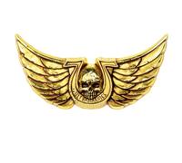 Starforged Warhammer 40K Titus Ultramarines Courage & Honour Pin's Accessoires Homme, Acier allié Zinc, Pas de gemme