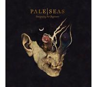 Stargazing for Beginners