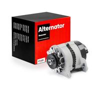 STARK Alternateur SKGN-0320484 36A 14V Dynamo avec poulie