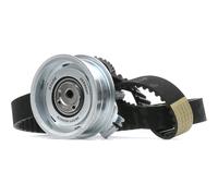 Kit distribution INA 530 0171 10