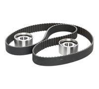 Kit de courroie de distribution 530 0073 10 INA pour FIAT IVECO RENAULT