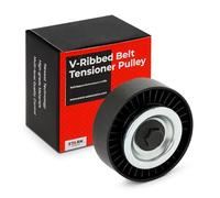 STARK SKDG-1080136 Galet enrouleur de courroie d'accessoire pour FIAT Ducato III Van (250, 290)