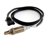 STARK SKLS-0140228 Sonde d'agneau