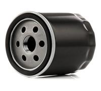 STARK SKOF-0860181 Filtre à huile pour VW Polo V 3/5 portes (6R1, 6C1)