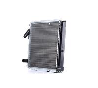 STARK SKRD-0120482 Radiateur du moteur