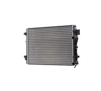 STARK SKRD-0120651 Radiateur du moteur