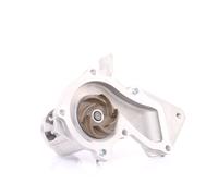 STARK SKWP-0520047 Pompe à eau pour FORD Fiesta Mk6 Schrägheck (JA8, JR8)