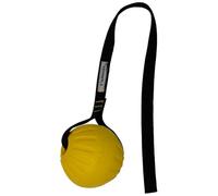 Starmark GripCord DuraFoam Balle sur cordon pour grands chiens 8,9 cm