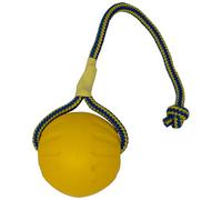 Starmark Jouet pour chien Swing N Fling 10 x 9 x 32 cm Large