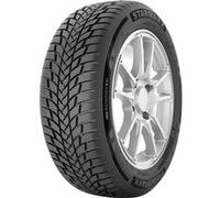 Starmaxx Pneu hiver PolarMaxx 185/65 R14 86T BSW M+S 3PMSF