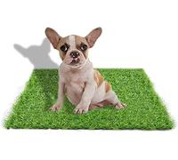STARROAD-TIM 50 X 60 cm Gazon Artificiel pour Chiens, intérieur et extérieur, Fausse Herbe pour Chiens, Zone d'apprentissage de la propreté, terrasse, pelouse, décoration