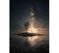 Starry Sky Tree Adult Jigsaw Puzzle 1000 Pieces,Classic Jigsaw Puzzle for Teenagers, Boys and Girls, with Sturdy, Tightly Packed Pieces,Letters on The Back,26x38cm