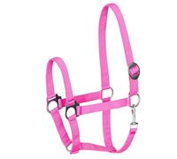 Start Economic Licol pour chevaux - Réglable en nylon avec mousqueton - Robuste et confortable - Matériau doux et résistant aux taches (rose, Full (demi-sang)