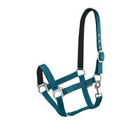 Start Economic Lined Licol pour chevaux pur-sang, poney - Licol d'écurie avec réglage en deux étapes - Mon et têtière - Licol de pâturage, licol pour cheval, demi-sang doublé en néoprène (bleu