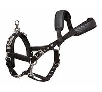 Start - Licol de longe réglable avec renfort en PVC et ferrures amovibles - Licol d'entraînement pour chevaux (noir, sang chaud)