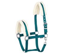 Start Licol d'écurie rembourré en nylon pour chevaux avec fourrure synthétique douce - Réglable et confortable - Fermoir mousqueton - Résistant et élégant - MinkPadded (turquoise, poney)