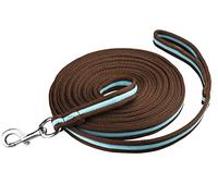 Start Longe Cheval 8 m en Nylon Durable avec dragonne antidérapante + Mousqueton Solide - Contrôle Total & Confort pour Dressage et Travail au Sol (Marron/Turquoise)