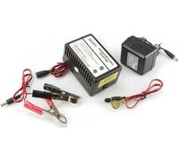 Start Maintien de Charge pour Batteries 12 V, Alimentation AC 220