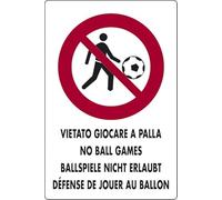 Start Panneau Interdit de Jouer au Ballon dans Les lieux publics 30 cm x 20 cm