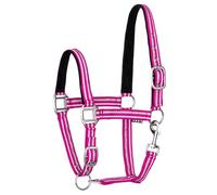 Start Zari Silver Mini Licol shetty réglable en 2 positions, pour mini chevaux miniatures, double couture, avec mousqueton et ferrures argentées (rose, poney)