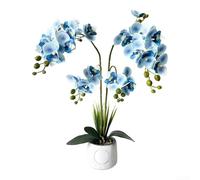 Startbuymore Orchidée phalaenopsis artificielle à 24 têtes dans un pot moucheté élégant avec des feuilles et des fleurs naturelles pour une utilisation en intérieur toute l'année (bleu)