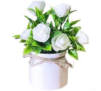 Startbuymore Rose artificielle en pot pour bureau, étagère, cheminée ou table d'appoint avec silhouette botanique élégante (blanc)