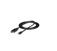 StarTech 10FT Mini DisplayPort Male To DisplayPort Câble