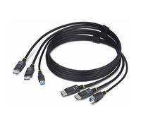 StarTech 6ft (1.8m) Dual-DisplayPort and USB 5Gbps KVM Cable - Câble clavier / vidéo / souris (KVM) - USB type A, DisplayPort (M) pour USB Type B, DisplayPort (M) - 1.83 m - support pour 4K60Hz, prise