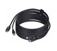 10ft (3m) DisplayPort and USB 5Gbps KVM Cable - Câble clavier / vidéo / souris (KVM) - DisplayPort, USB type A (M) pour DisplayPort, USB Type B (M) -