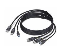 StarTech.com 6ft (1.8m) Dual-DisplayPort and USB 5Gbps KVM Cable - Câble clavier / vidéo / souris (KVM) - DisplayPort, USB type A (M) pour DisplayPort, USB Type B (M) - 1.83 m - support pour...