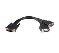 StarTech.com Câble 20 cm LFH 59 mâle vers femelle double VGA DMS 59