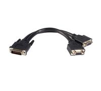 StarTech.com Câble 20Â cm LFH 59 mâle vers femelle double VGA DMS 59