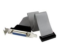 StarTech.com Cable adaptateur de carte mere a faible encombrement avec port parallele, 40 cm, avec support - DB25 (F) vers IDC26 - Panneau parallèle - DB-25 (F) pour IDC 26 broches (F) - 40.64 cm - gr