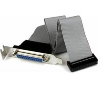 StarTech.com Câble adaptateur d'en-tête de port parallèle à profil bas de 40 cm avec support - DB25 (femelle) vers IDC26 - 1 x DB-25 femelle parallèle - 1 x IDC femelle IDE - gris