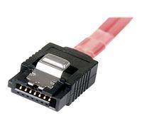 StarTech.com Câble Mini SAS SFF-8087 vers 4 SATA avec verrouillage - Câble interne SAS vers 4 SATA - 1x SFF-8087 (M) 4x SATA (F) - 50 cm - Câble SATA / SAS - Serial ATA 150/300/600 - 4 voies -...