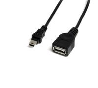 StarTech.com Câble Mini USB 2.0 de 30cm - USB A vers Mini B - F/M