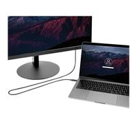 StarTech.com Câble Thunderbolt 3 de 2 m avec Power Delivery 100 W - 40 Gbps (TBLT3MM2MA) - Câble Thunderbolt - USB-C (M) pour USB-C (M) - Thunderbolt 3 / USB / DisplayPort - 2 m - support 4K - noir -